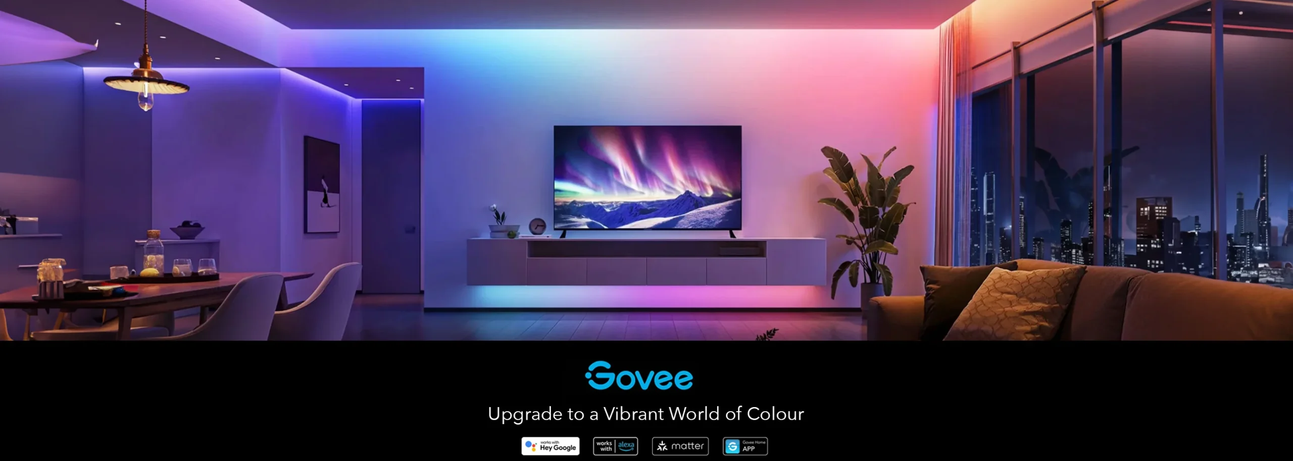 Govee Banner