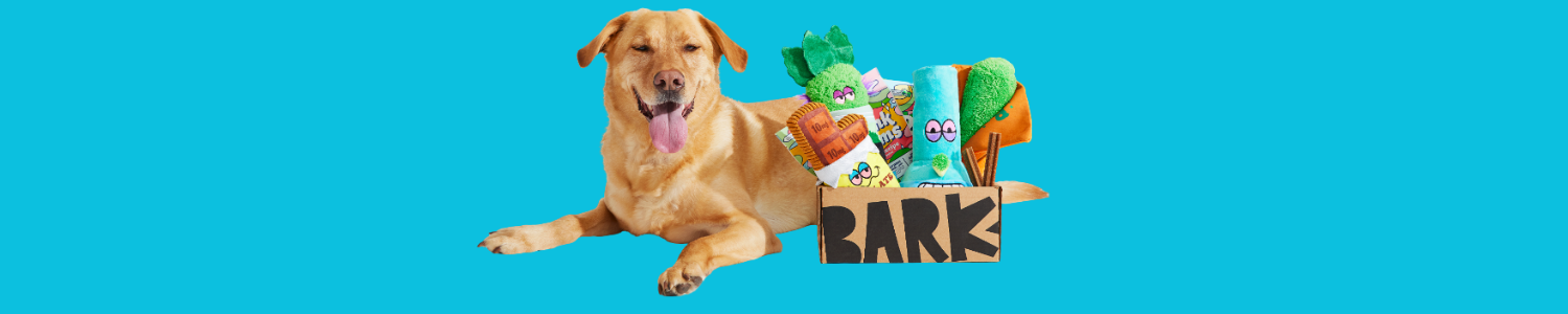 BarkBox Banner