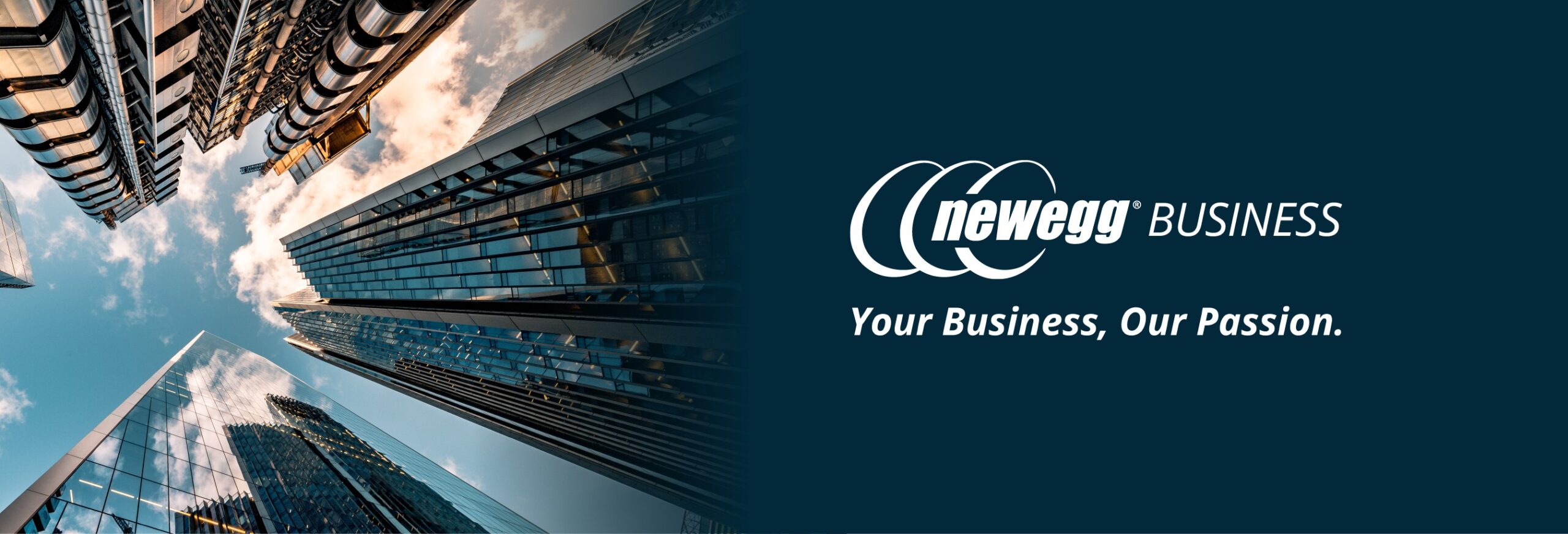 Newegg Banner